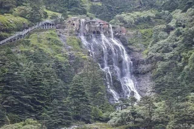 @青岛市民，领红包了！2024年“青岛城管有奖随手拍”全新上线
